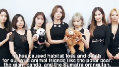 少女时代 - Earth Hour(地球一小时) 活动参与鼓励影像