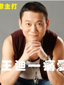 王迪 