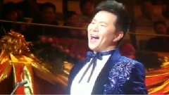 王宏伟 - 西部放歌