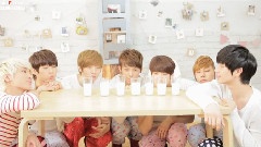 BTOB - MTV Diary EP8 Cut