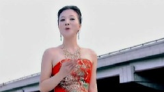 华语群星 - 飘扬的美丽