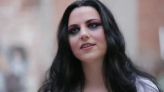 Evanescence - What You Want
