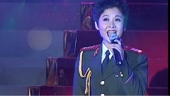 董文华 - 今晚好明月