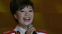 王丽达 - 妈妈的心愿