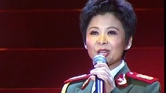 董文华 - 长城长