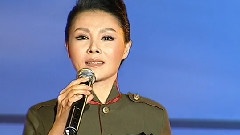 张迈 - 绿色背影