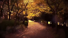 初音未来 - My sweet GIRL