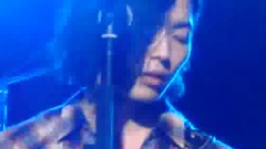 Walrus - 首尔魔女