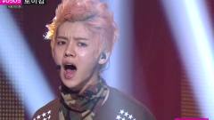 EXO,EXO-K,EXO-M - Wolf