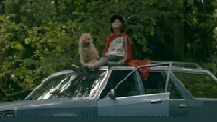 The Shins - It's Only Life