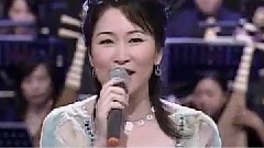 张秀卿 - 快车小姐