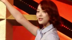 f(x) - 初智齿