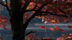 Richard Clayderman,音乐短片 - Memories