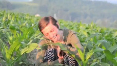 Nahko and Medicine for the People - Budding Trees