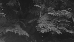 Megan Wyler - Through The Noise