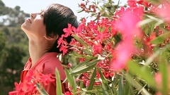 梁咏琪 - Butterfly Kisses