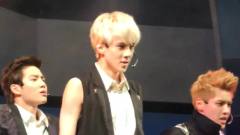 EXO,EXO-K,EXO-M - Wolf