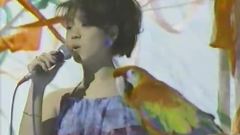 中森明菜 - サザン・ウインド