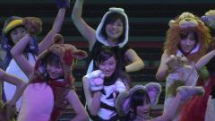 小野惠令奈 - 雨の动物园