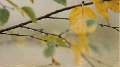 Ryan Farish - Fall Rain