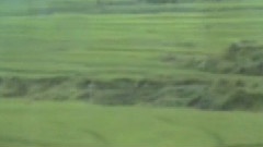 关牧村 - 电视剧