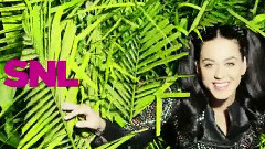 Katy Perry - Roar
