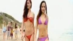 Stereos - Summer Girl