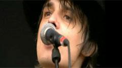 Peter Doherty - Last Of The English Roses