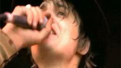 Peter Doherty - For Lovers