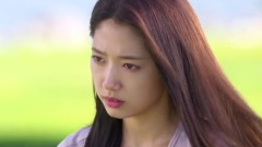 李敏镐,Krystal(f(x)),朴信惠,影视原声,金宇彬 - 韩剧<继承者们>