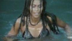 Amazulu - Montego Bay