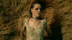 Slipknot - Vermilion