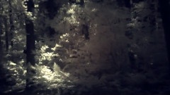 Goldmund - An Invisible Light