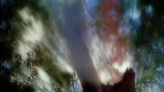 轻音乐 - 一直很安静
