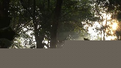 轻音乐 - 美不胜收的哥斯达黎加