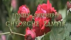 音乐短片,轻音乐 - Lonely Shepherd