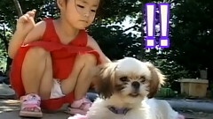 爱犬日记之歌友会