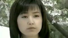 酒井法子 - 碧兔