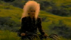 Jennifer Batten - Flight Of The Bumblebee