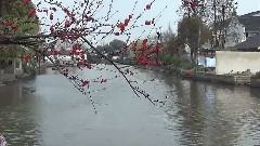 模仿翻唱 - 花开花落