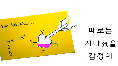 SHINee - SHINee五周年