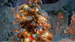 轻音乐 - Felicia Farerre - Silent Night