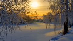 轻音乐 - Ludovico Einaudi - The Snow Prelude N度15