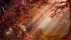 轻音乐 - Mickaël David - Mysterious Rise
