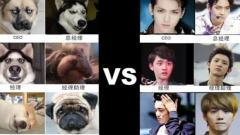 EXO - 那些年拍的囧囧的exo