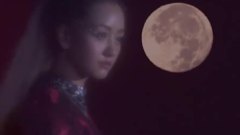杨蓉 - 潇洒走一回