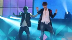 东方神起 - Honey Funny Bunny