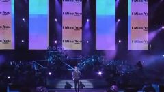杨坤 - 演唱会
