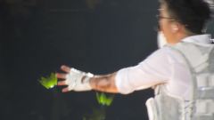 胜利(Bigbang),BigBang - 胜利SOLO