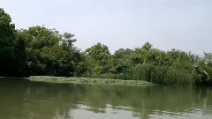 庞龙,音乐短片 - 飞吧美丽的蝴蝶